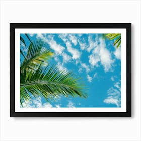 Palm Tree Against Blue Sky 6 Art Print