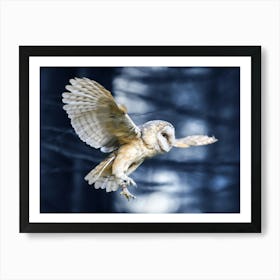 Barn Owl In Flight Art Print