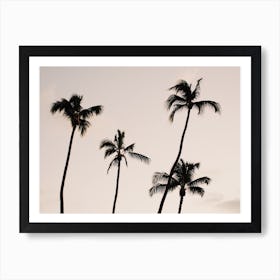 Palm Tree Sunset Art Print