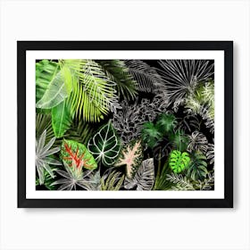 Tropical Foliage 4 Art Print