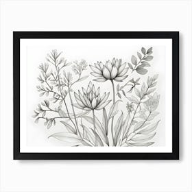 Black And White Drawing Of Flowers 1 Art Print