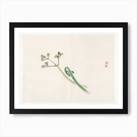 Blossom, Kōno Bairei Art Print