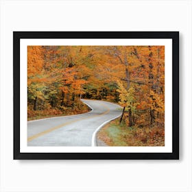 Road Through Fall Forest Art Print