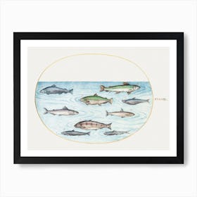 Nine Fish, Joris Hoefnagel Art Print