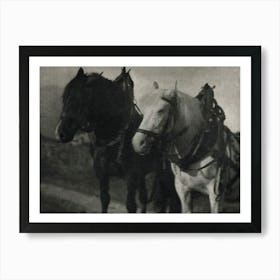 Horses During 20th Century, Alfred Stieglitz Art Print