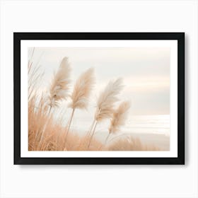 Pampas Grass In Evening Light Art Print