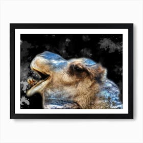 A Camel Art Illustration In A Photomontage Style 05 Art Print