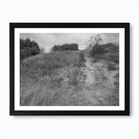 Hill in Black And White Art Print