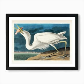 Great White Heron By Audubon Remastered and Enhanced from the Birds of America Art Print