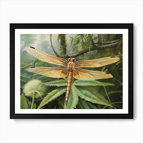 Dragonfly Wandering Gilder Minimalistic 1 Art Print