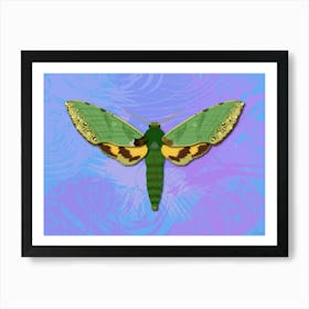 Mechanical Green Butterfly The Euchloron On A Light Blue Background Art Print