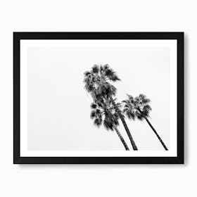 Palm Trees Barcelona Art Print