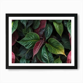 Eucalyptus Leaves Art Print