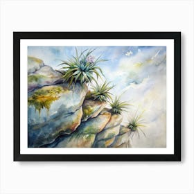 Air Plants On The Rocks Art Print