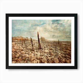 Holy Island Of Northumberland Art Print