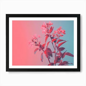 Pink Flowers On A Pink Background Art Print