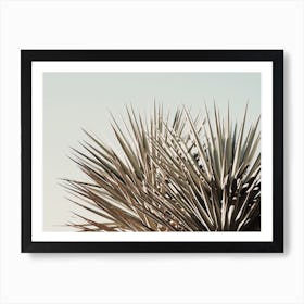 Tropical Palms Art Print