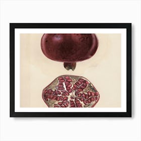 Pomegranate 9 Art Print