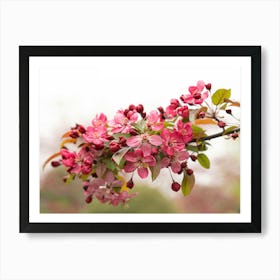 Blossoming Apple Tree Art Print