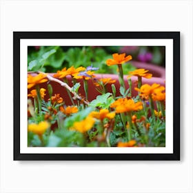 Group Of Orange Flowers With A Green Stem In The Garden Art Print