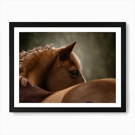 Flexible - Gavers Belgian horse photo print - moody animal photography art Art Print