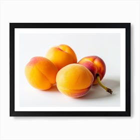 Apricots 1 Art Print