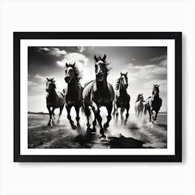 Horses galloping in a field. Art Print