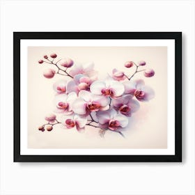 Orchids On Pink Art Print