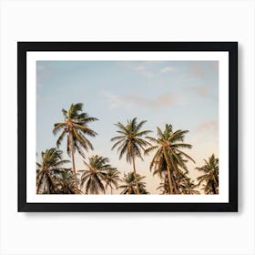 Island Palms Art Print