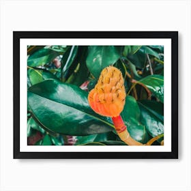 Alien Plant Art Print