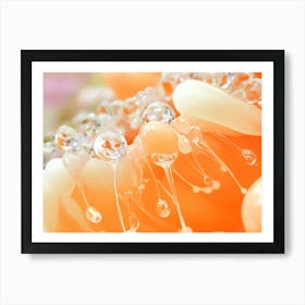 Water Droplets On A Flower Art Print