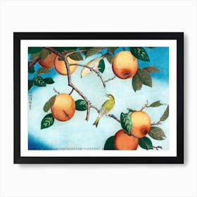 Persimmons And White Eyes, Kobayashi Kiyochika Vintage Japanese Art Print