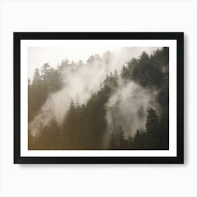 Misty Forest - Redwood National Park Nature Art Print