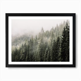 Misty Forest Scenery Art Print