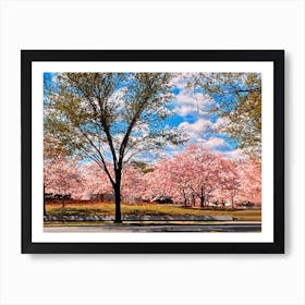 Driving Past The Washington DC Cherry Blossoms Art Print