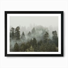 Redwood National Park Adventure Art Print