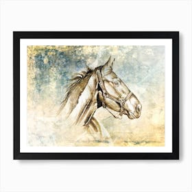 Horse Drawing Art Illustration In A Photomontage Style 67 Art Print