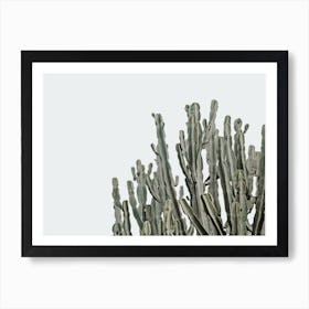 Modern Cactus Scenery Art Print