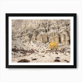 Yellow Tree In The Desert Art Print