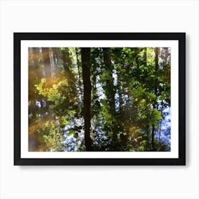 Reflection of trees and leaves in water Art Print