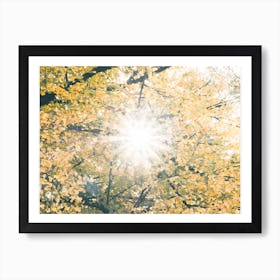 Fall I Art Print