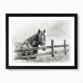 Horse In The Field Art Print