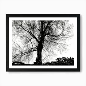 Silhouette Of Bare Tree Black And White 1 Art Print