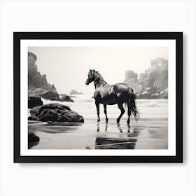 A Horse Oil Painting In Camps Bay Beach, South Africa, Landscape 4 Art Print