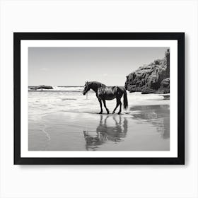 A Horse Oil Painting In Praia Da Marinha, Portugal, Landscape 1 Art Print