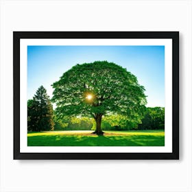 A Radiant Tree Standing Tall In A Vibrant Park Holding A Secure Place Amongst A Lush Spring Foliage (6) Art Print