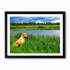 Cute Dog In The Grass Art Print