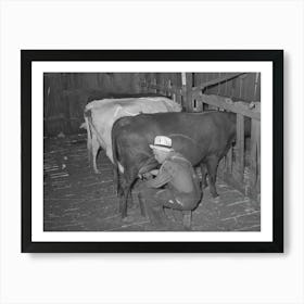 Mr,Bosley Milking His Dual Purpose Cows On His Farm,Baca County,Colorado By Russell Lee Art Print