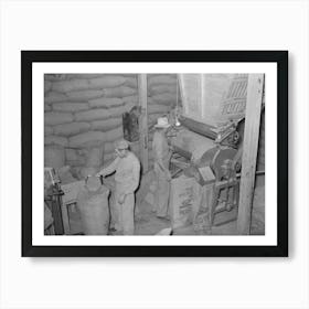 Filling Bags With Feed Made From Peanut Shells And Strap Molasses,Peanut Shelling Plant, Comanche, Texas By Art Print