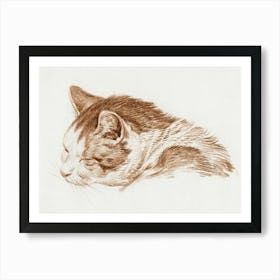 Head Of A Sleeping Cat, Jean Bernard Art Print